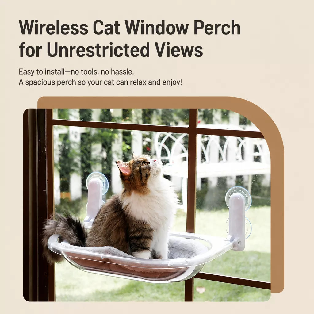 Foldable Transparent Cat Window Capsule Hammock