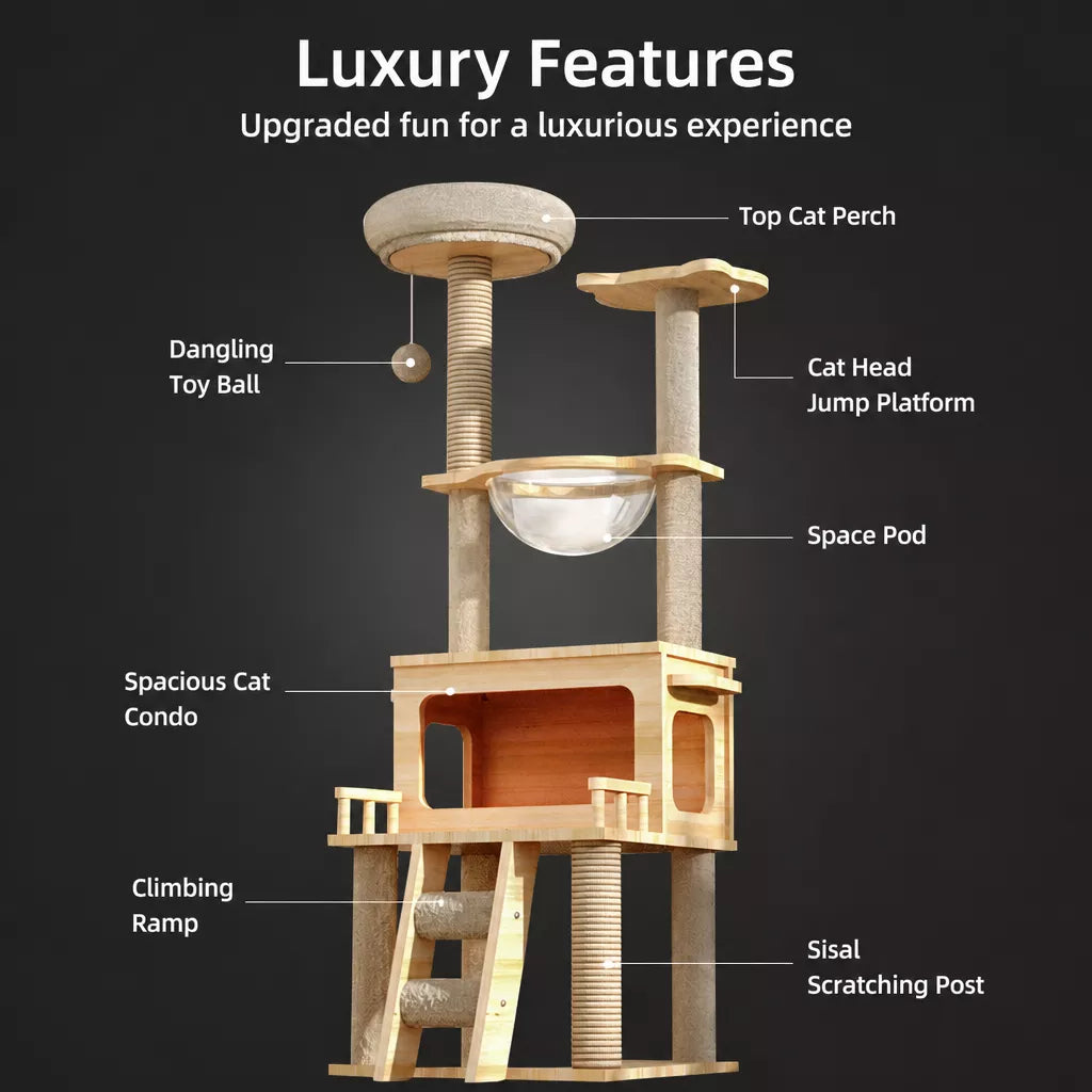 Mini Cat Tree with Enclosed Cat House and Scratching Post