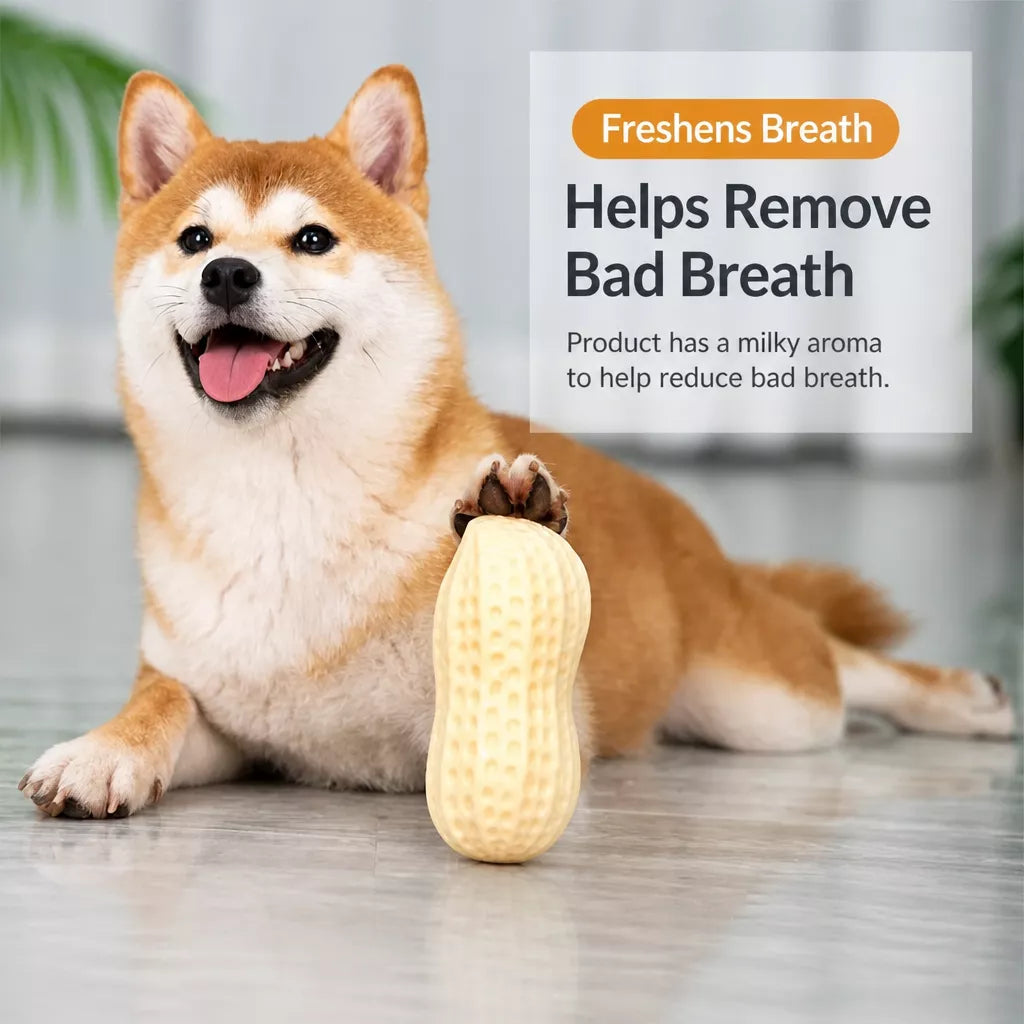 Peanut-Shaped Squeaky Dog Toy