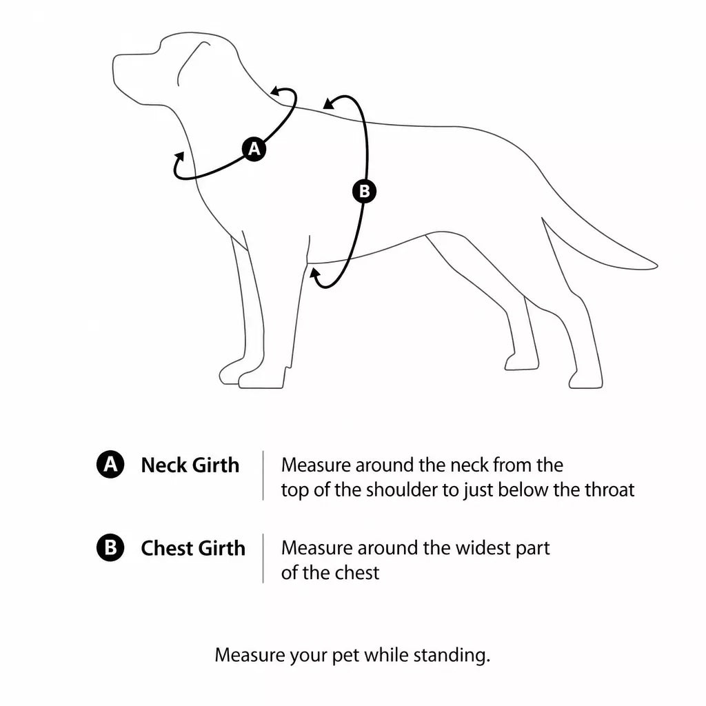 Nylon Dog Harness and Leash Set
