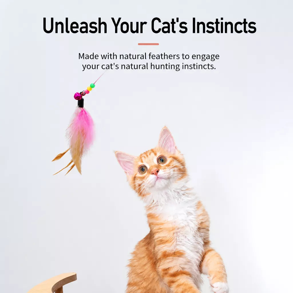 Cat Teaser Wand with Bell and Feather