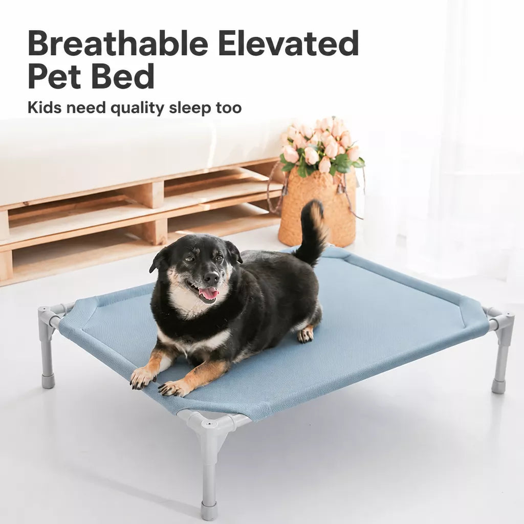 Elevated Dog Bed with Steel Frame and Breathable Fabric