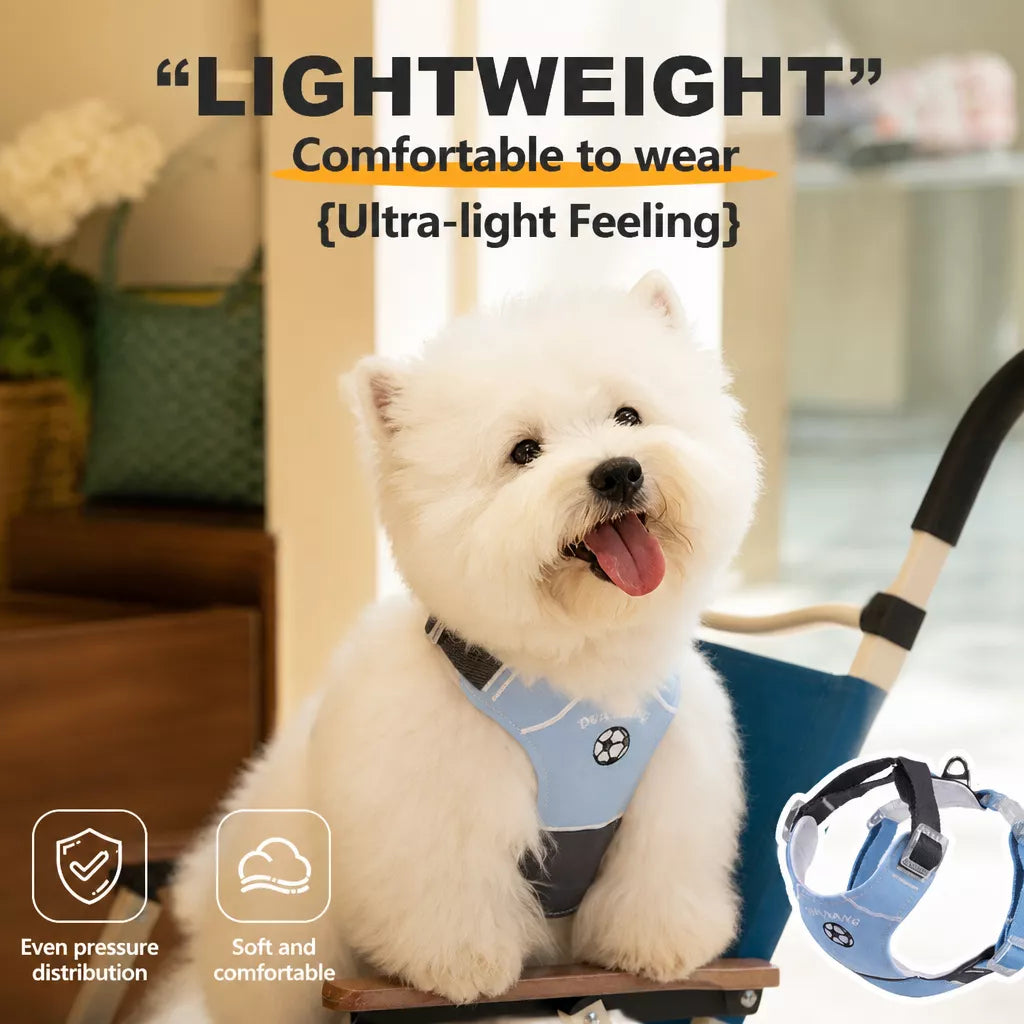 Vest-Style Dog Harness with Leash for Small to Medium Dogs