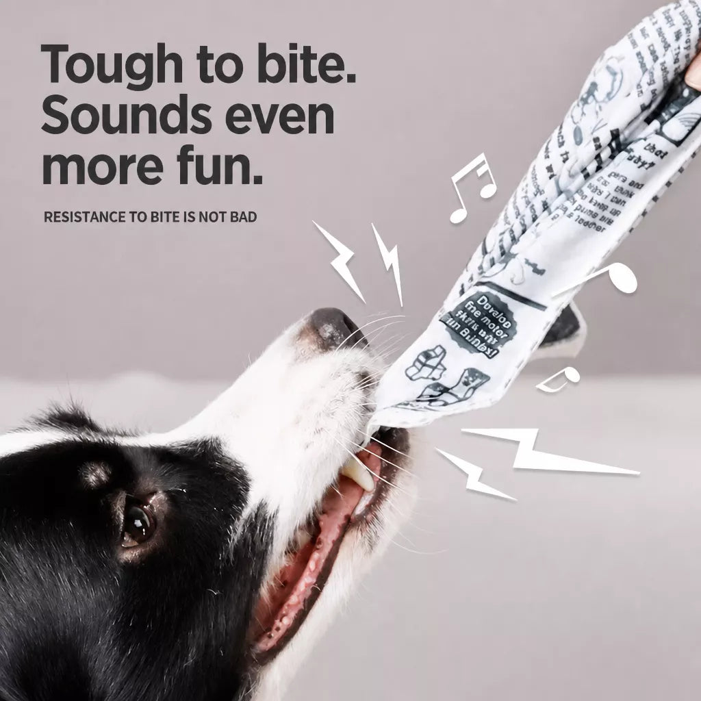 Squeaky Crinkle Dog Toy – Newspaper-Inspired Interactive Toy