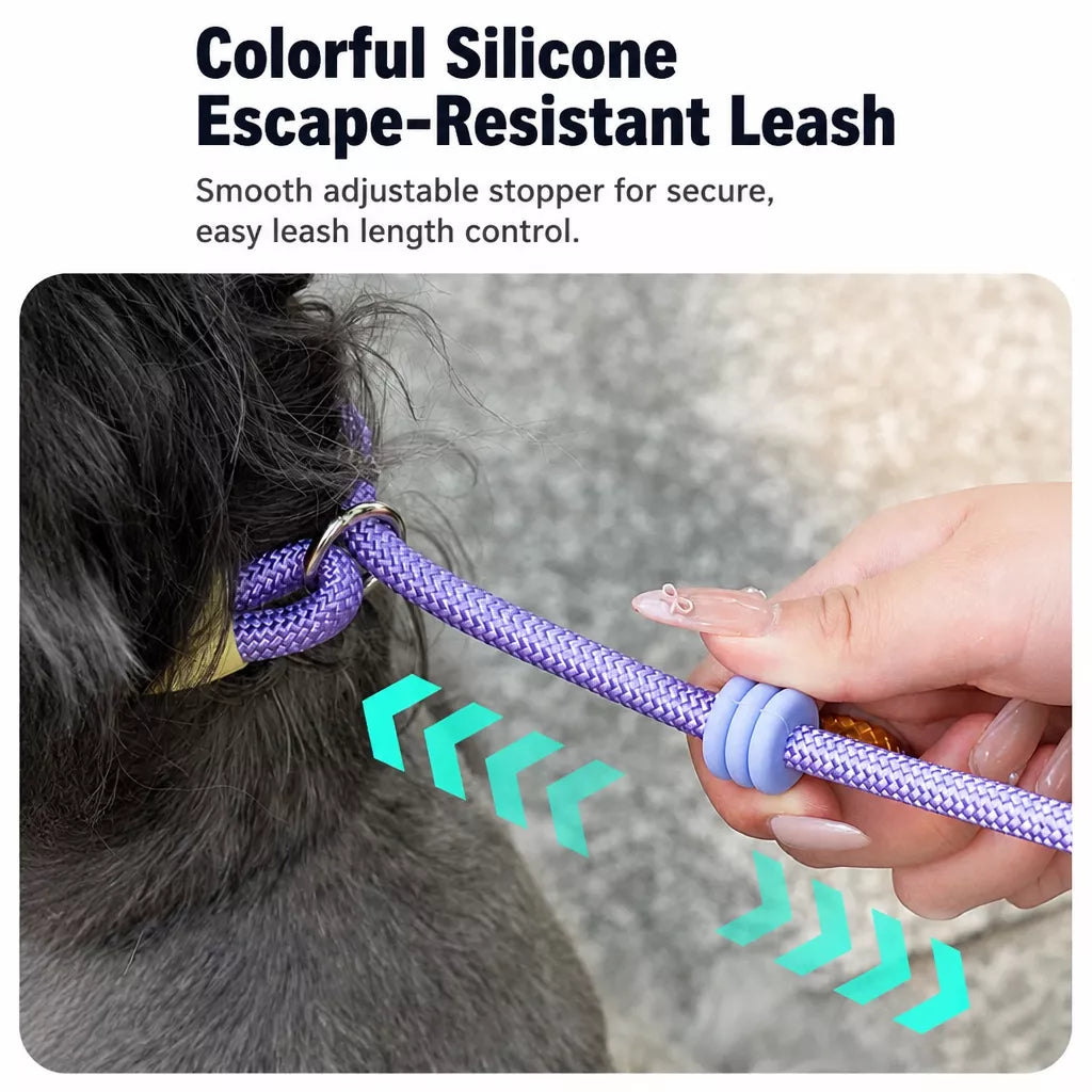 Nylon Slip Lead Dog Leash for Walking and Training
