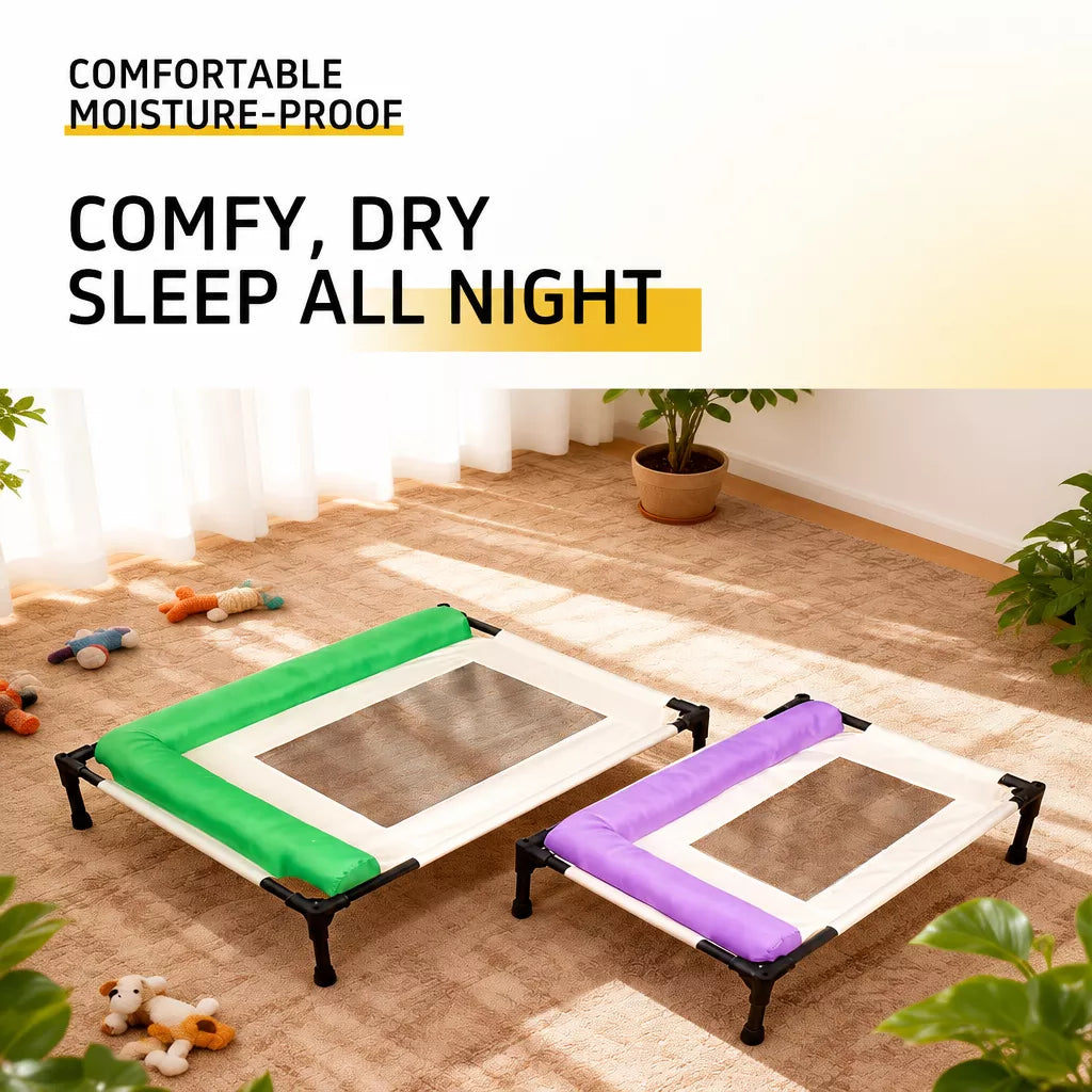 Elevated Pet Cot Bed with Removable Washable Cover
