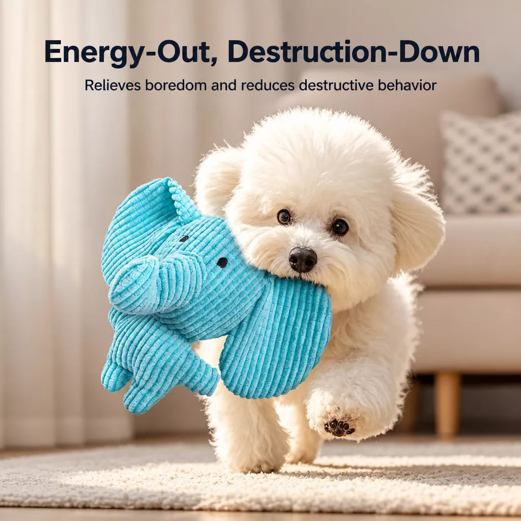 Plush Squeaky Dog Toy for Chewing and Interactive Play