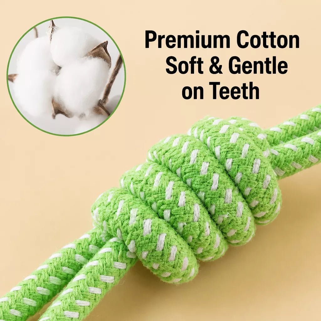 Squeaky Chew Toy Sets for Small Dogs