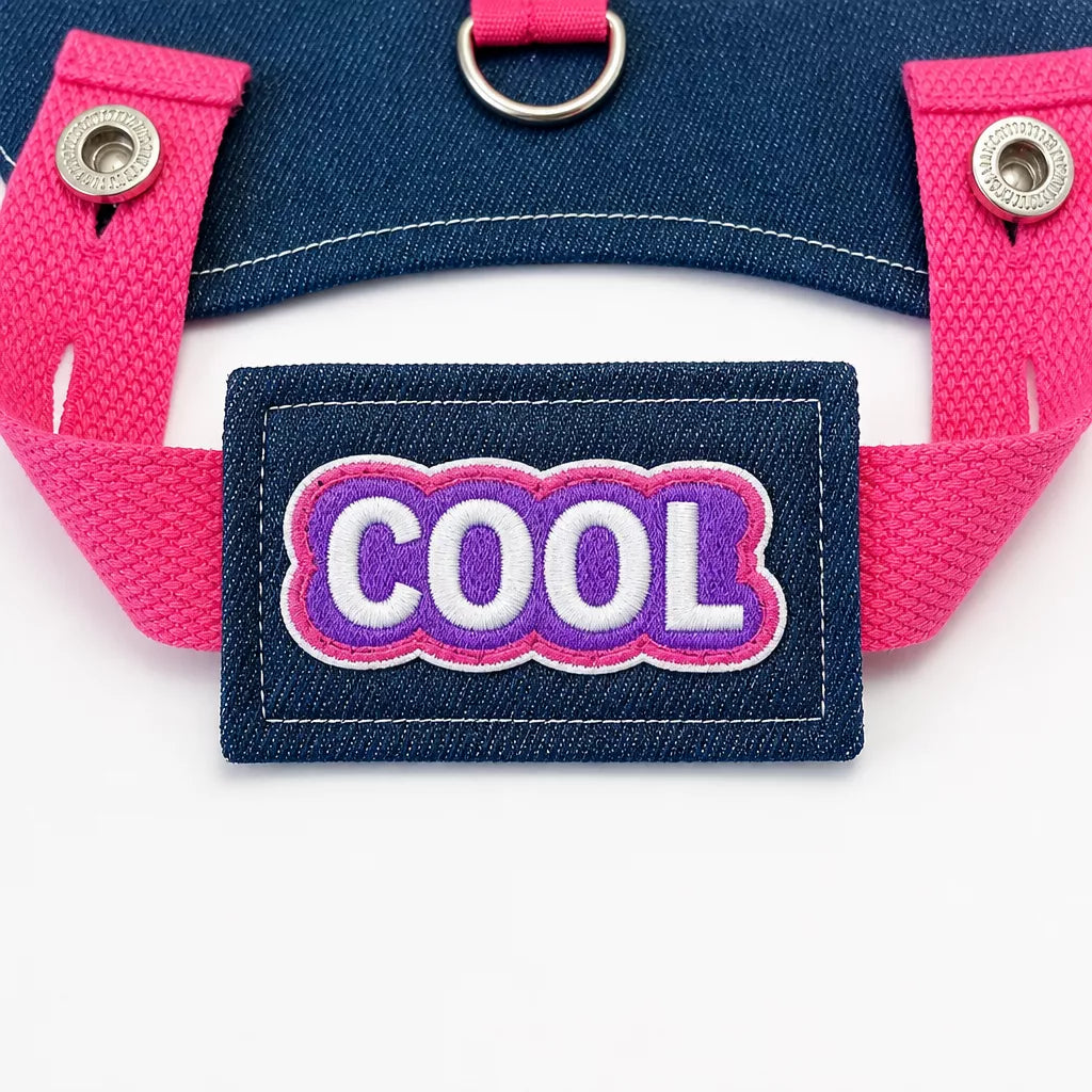 Nylon Pet Harness with Optional Leash