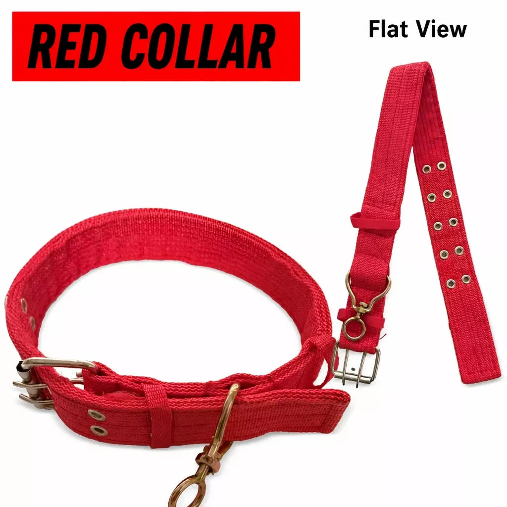 Adjustable Nylon Dog Harness and Leash Set