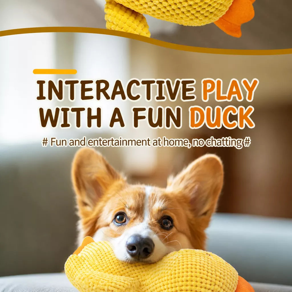 Plush Dog Toys with Squeakers and Crinkle Paper