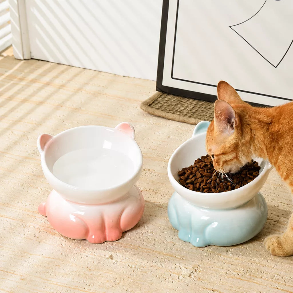 Elevated Ceramic Cat Food Bowl