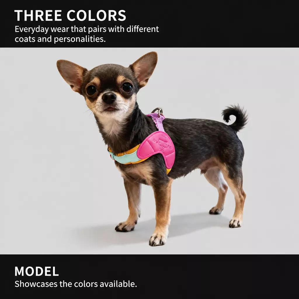 Y-Front Dog Harness with Matching Leash