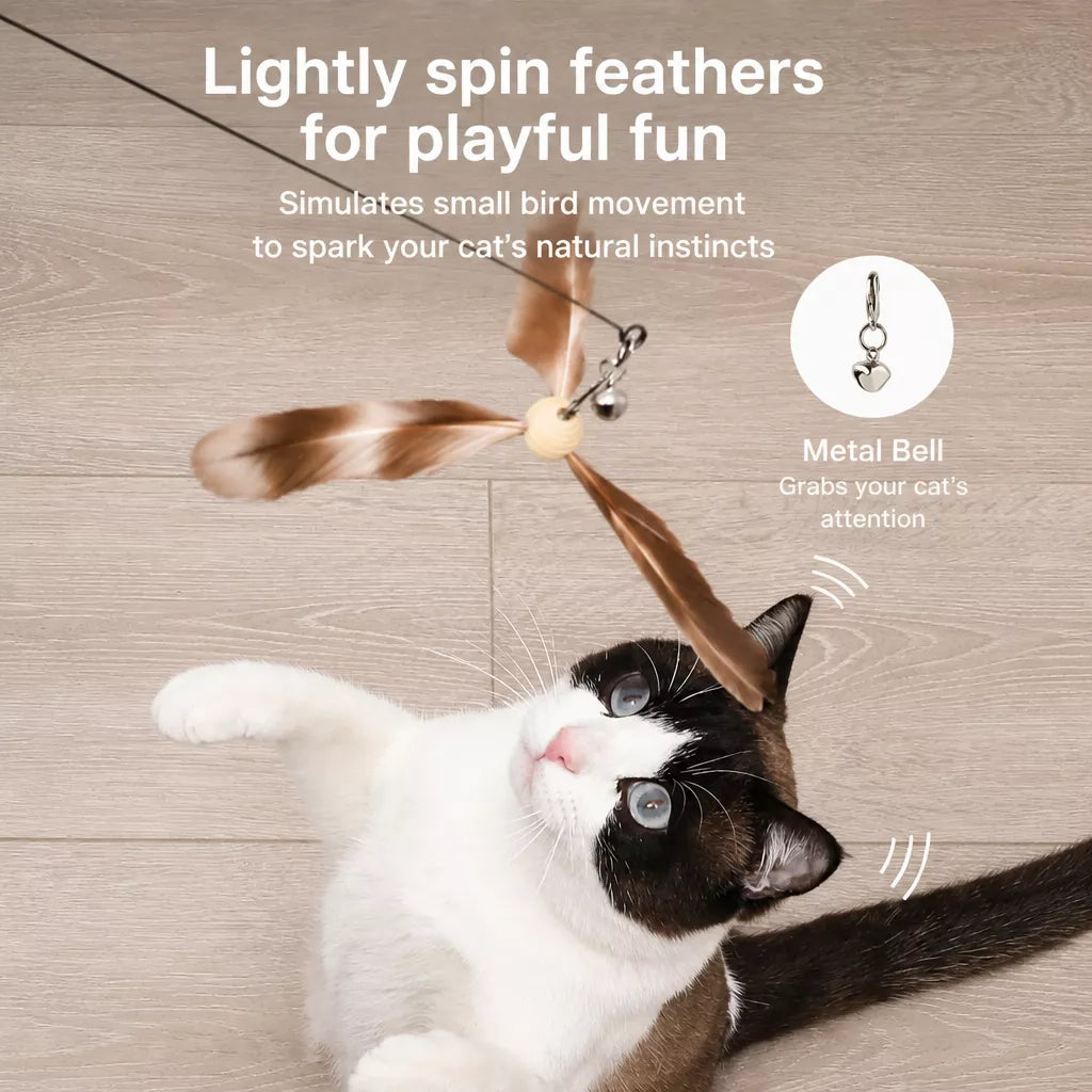 Cat Teaser Wand with Feather Attachments