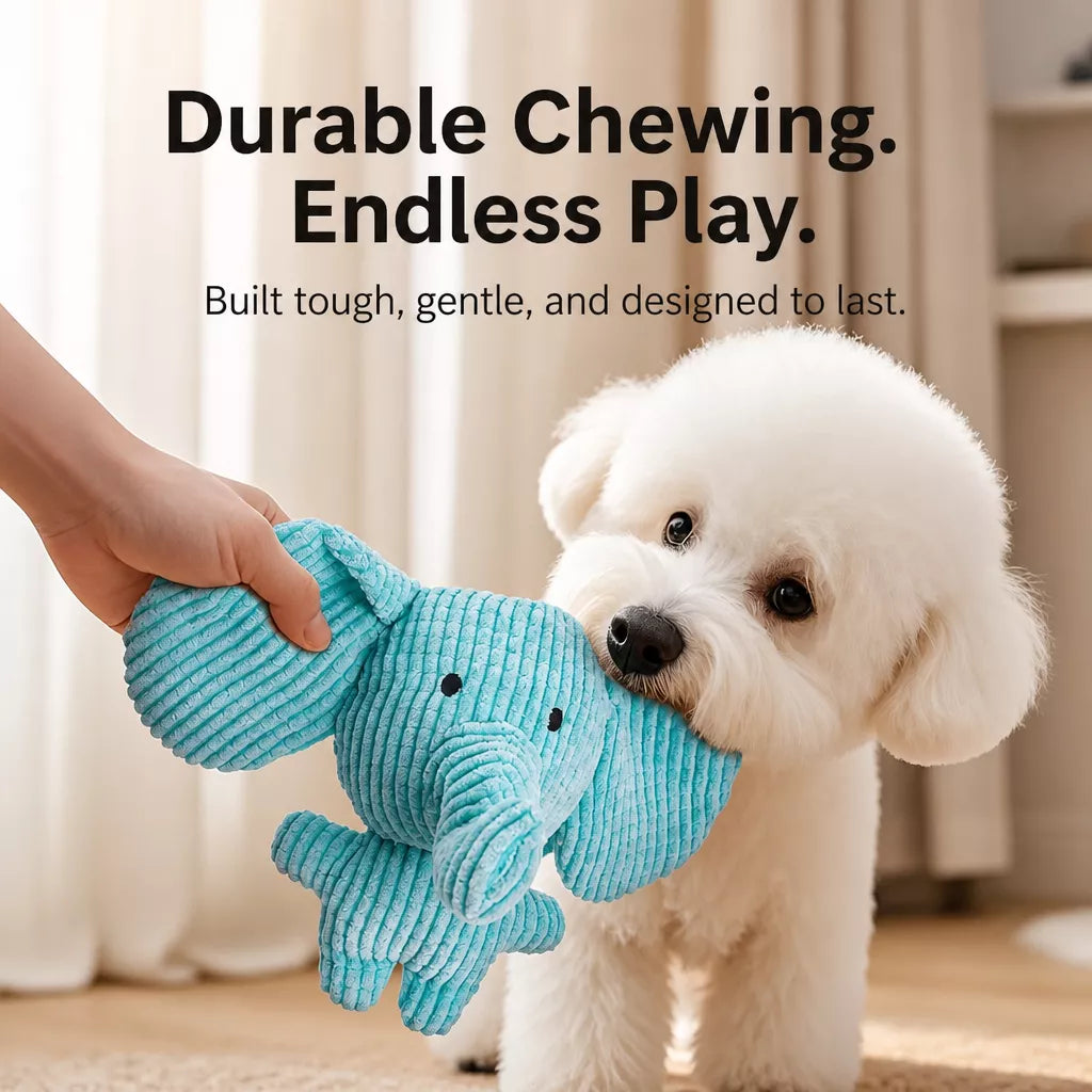 Plush Squeaky Dog Toy for Chewing and Interactive Play