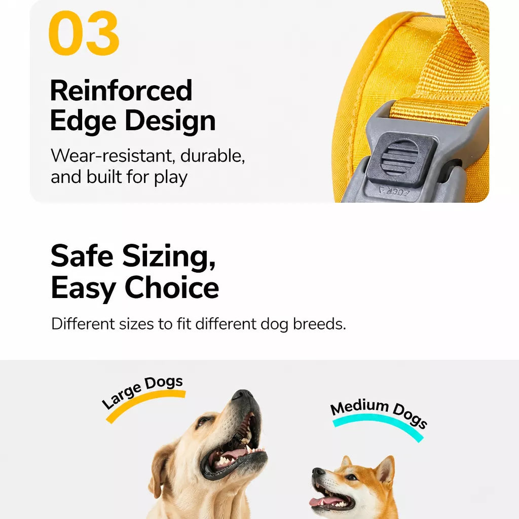 Lightweight Nylon Dog Harness and Leash Set