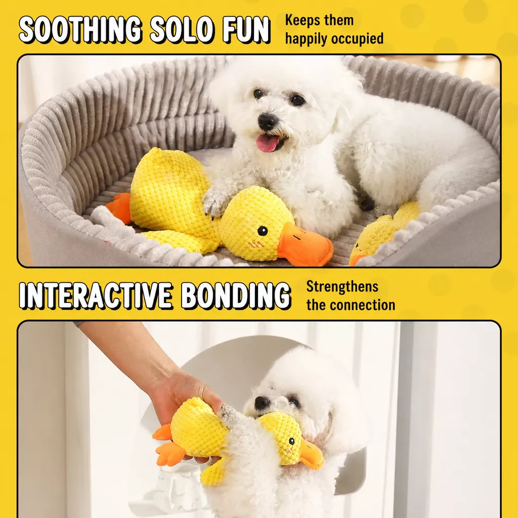 Plush Squeaky Dog Toy