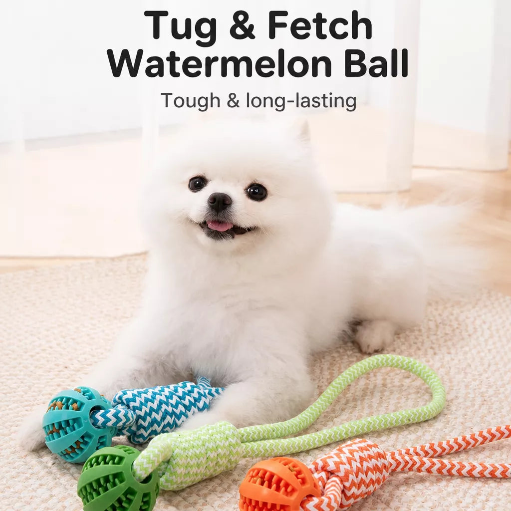 Knotted Rope Dog Toy for Tug, Fetch & Chew Play