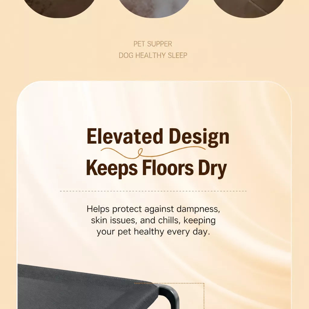 Elevated Pet Cot Bed with Removable Washable Nylon Cover