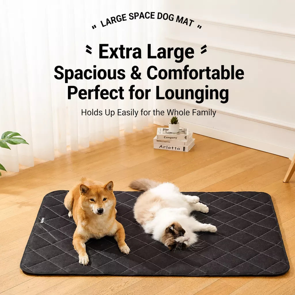 Foam Dog Crate & Floor Mat