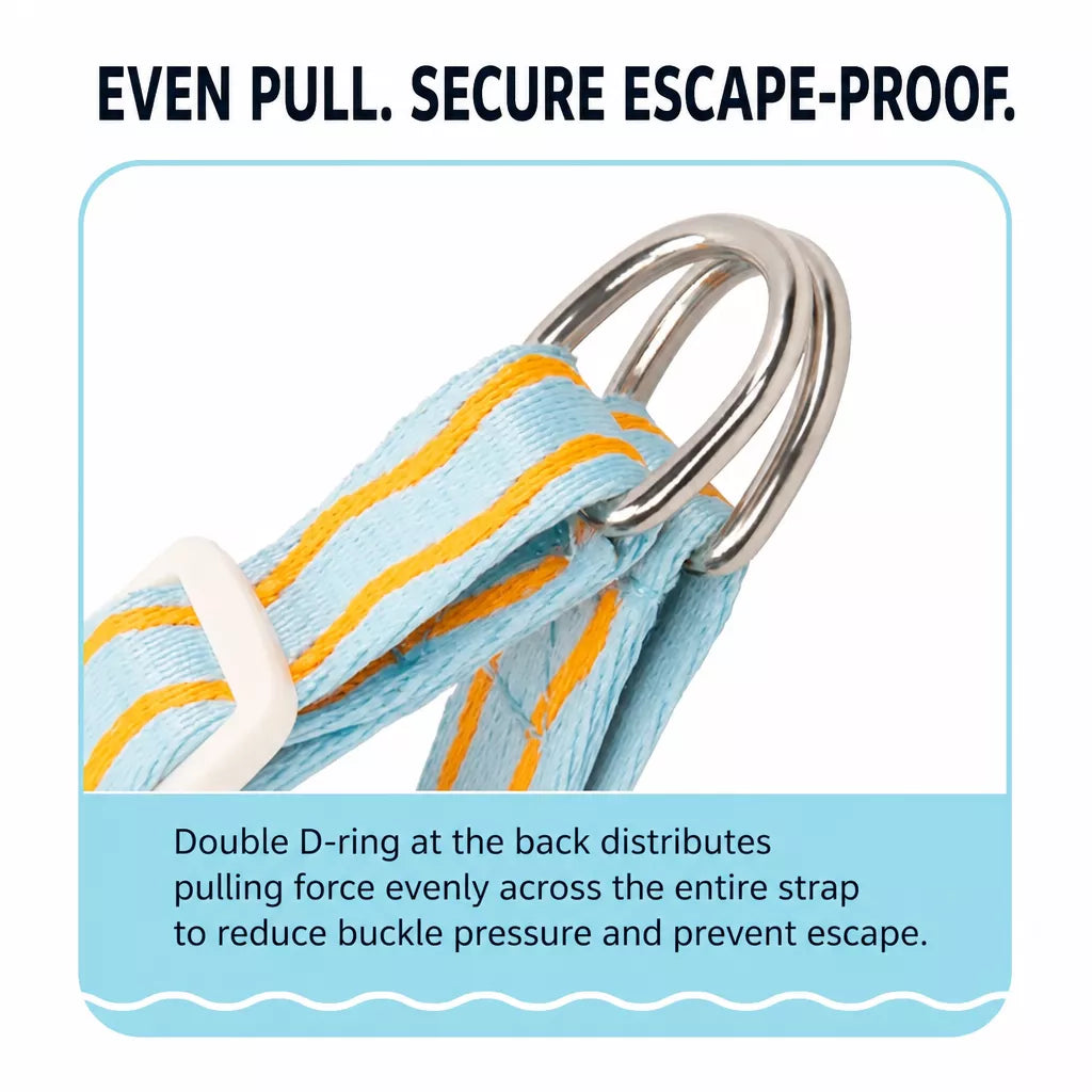 Y-Shaped Dog Harness and Leash for Small to Medium Dogs