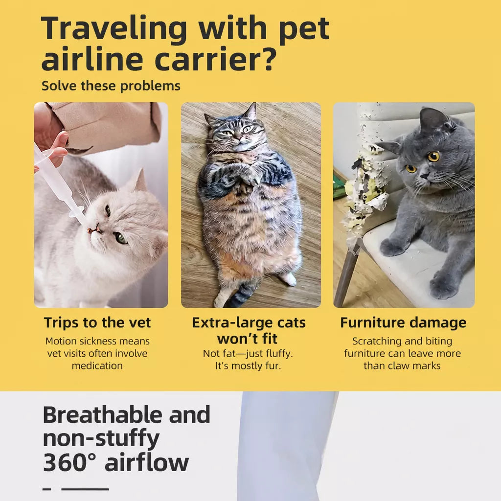 Portable Pet Carrier for Cats and Small to Medium Dogs