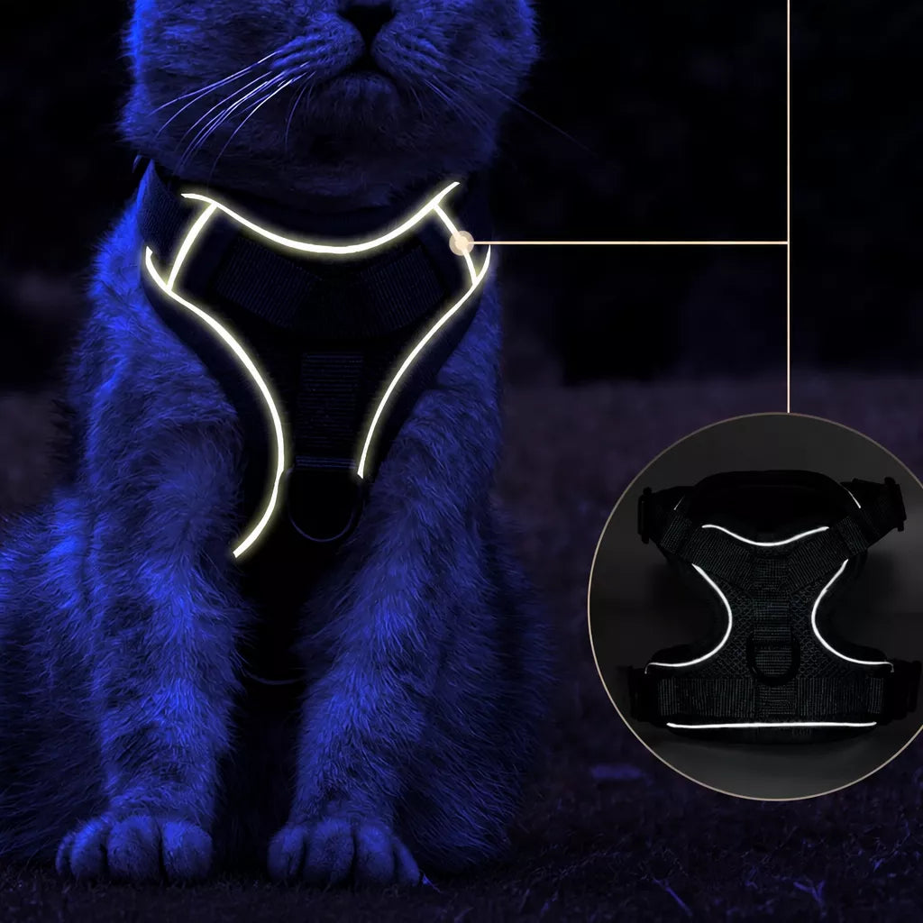 Cat Harness and Leash