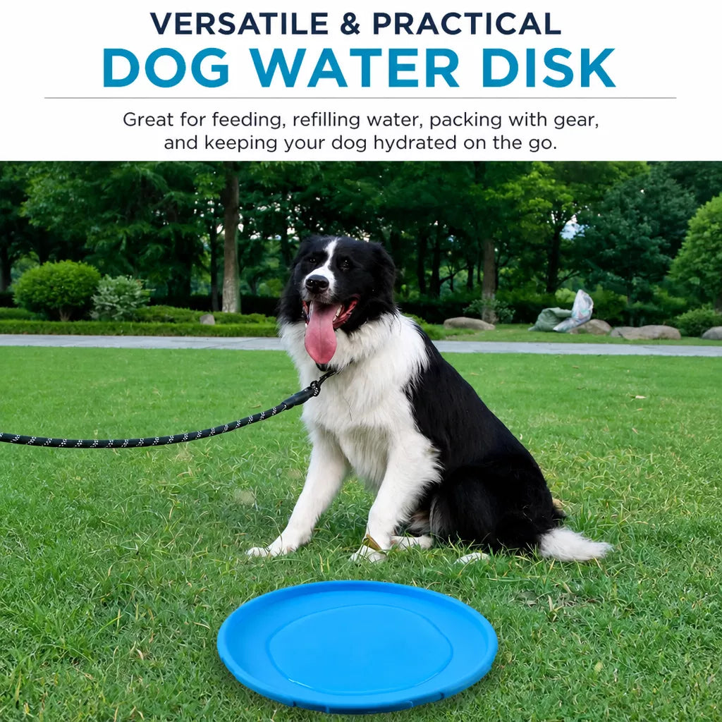 Floating Dog Flying Disc Toy for Training and Interactive Play