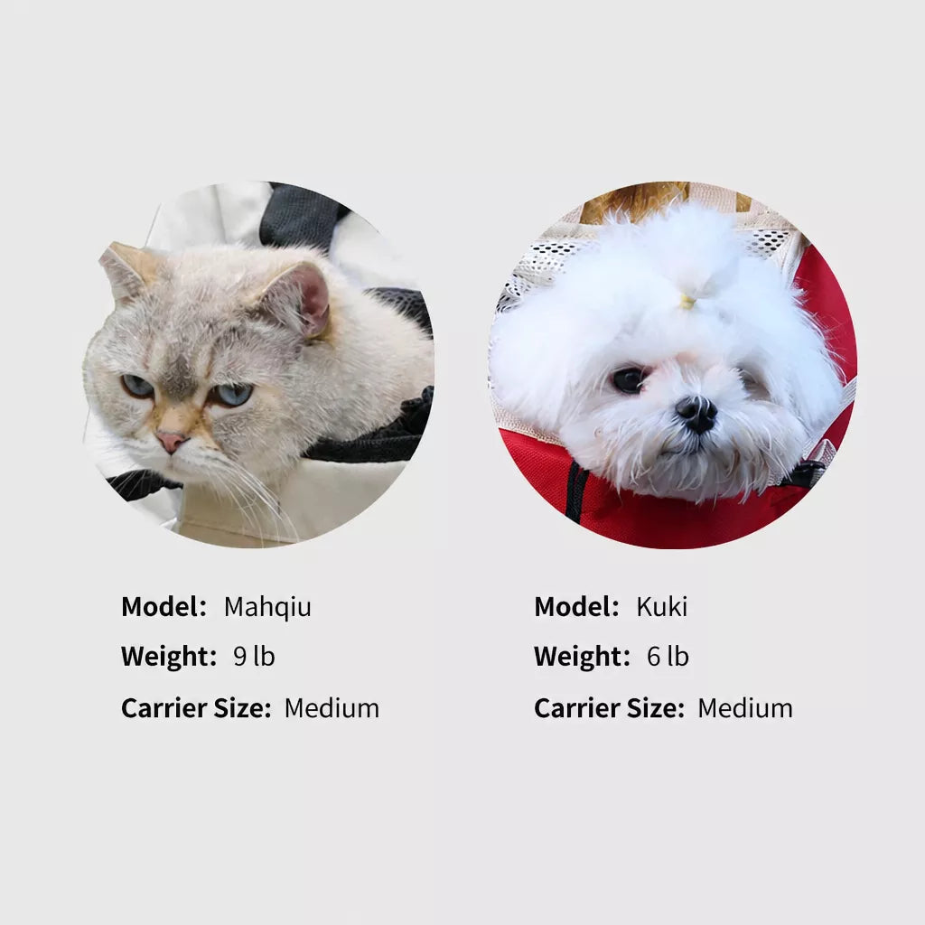Mesh Backpack Pet Carrier for Small Cats and Dogs
