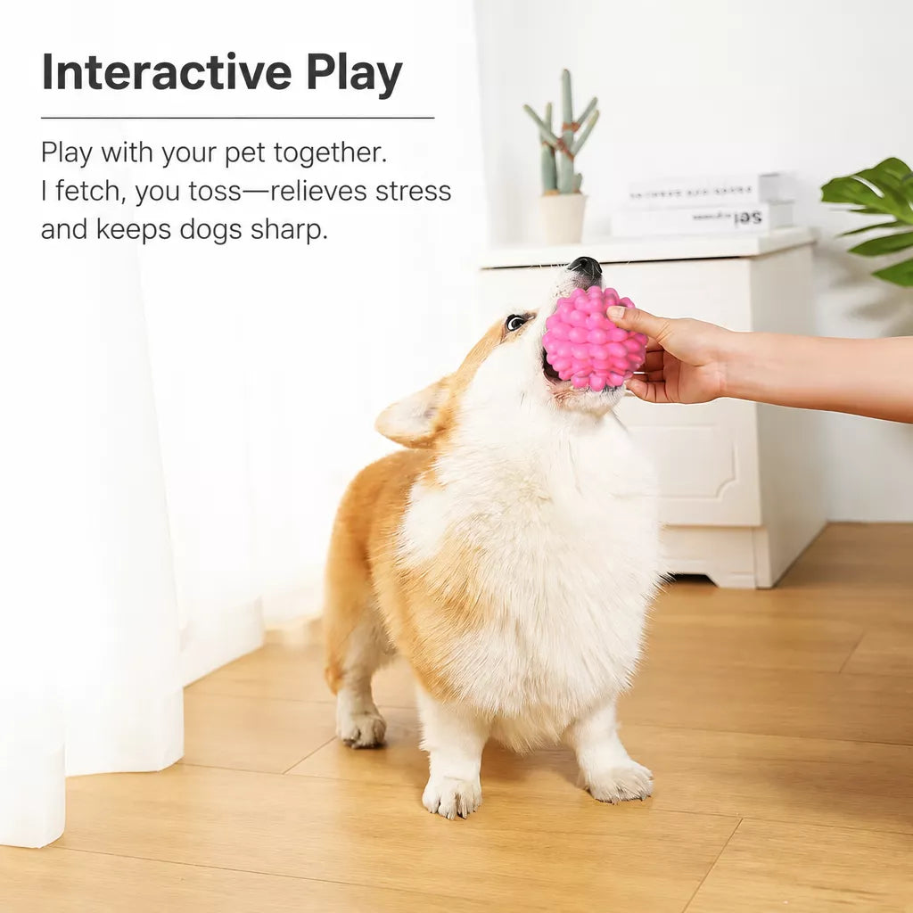 Dog Chew Ball Toy