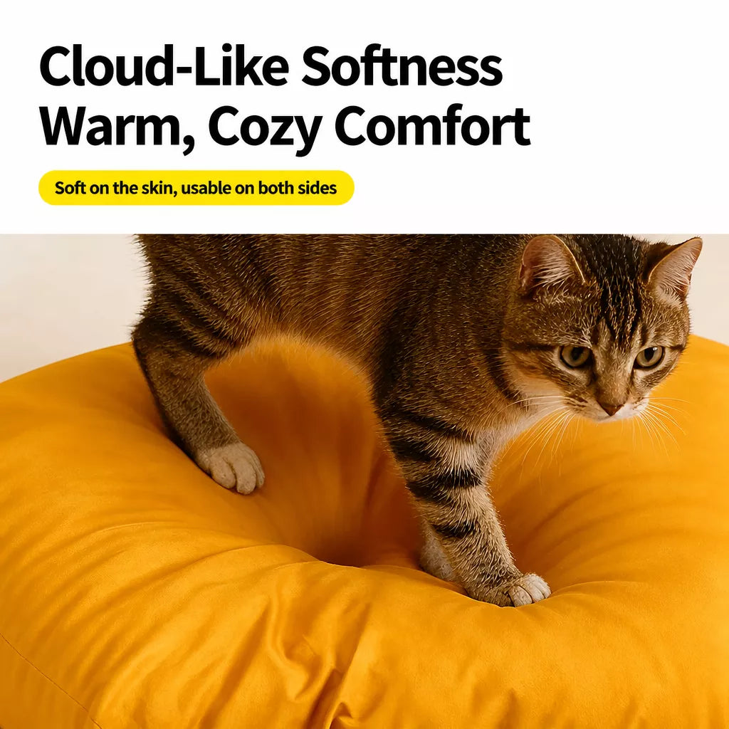 Tent-Style Pet Bed with Removable, Washable Cover