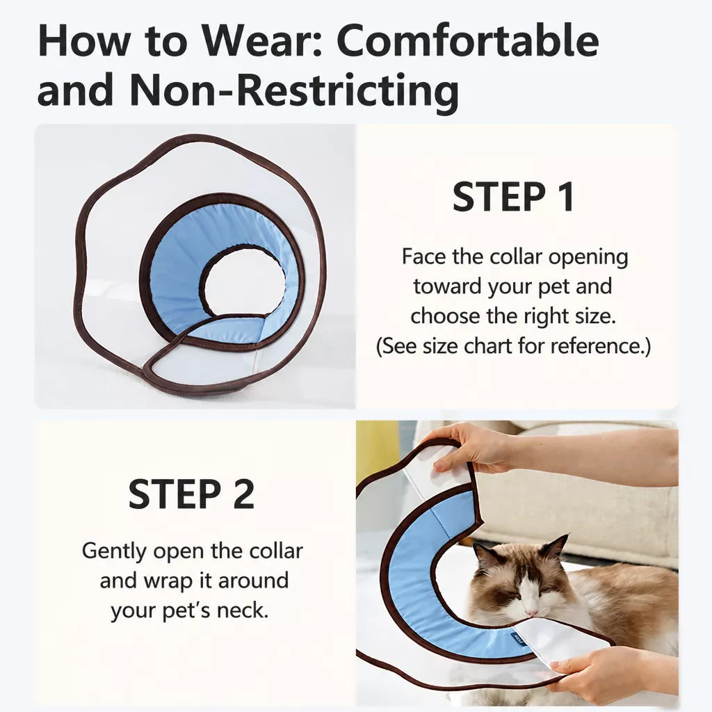Plastic Recovery Cone for Dogs