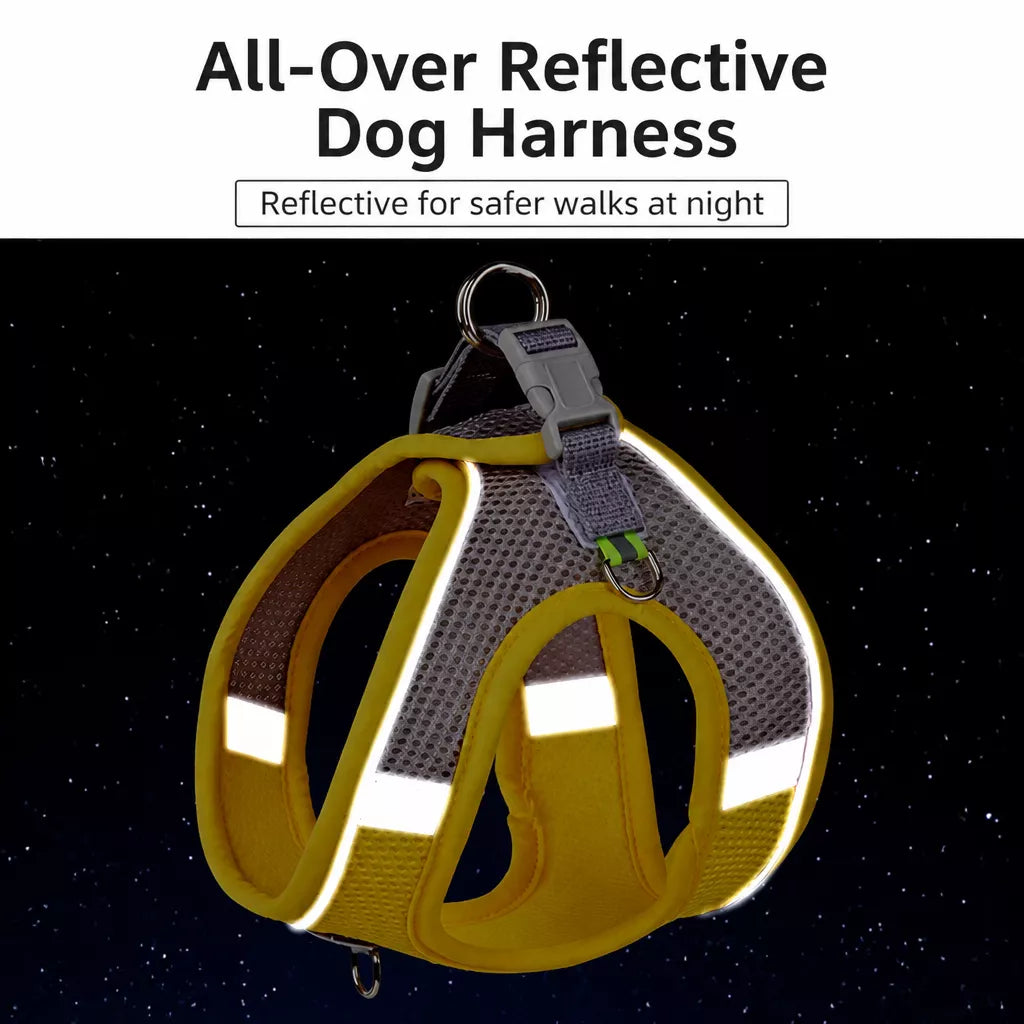 Nylon Vest Harness and Leash for Small Dogs