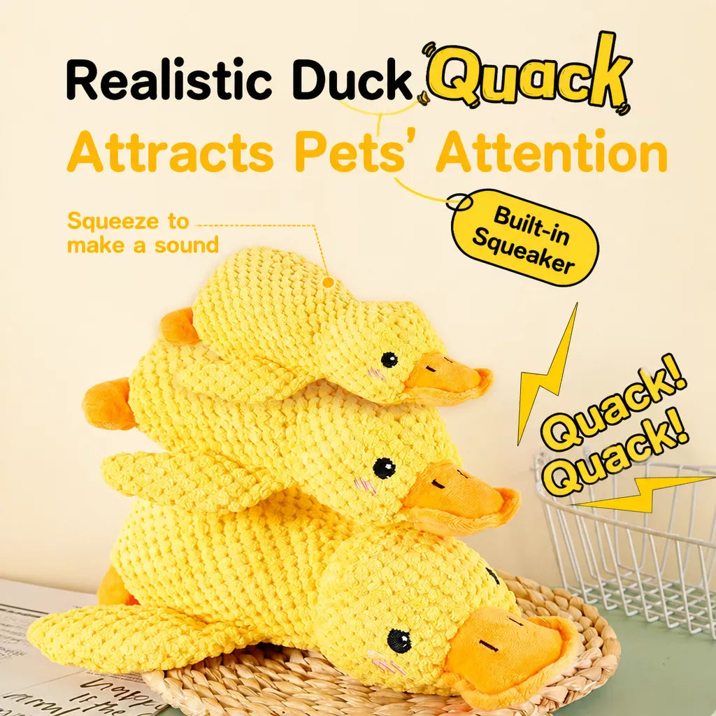 Plush Squeaky Pet Toy for Dogs and Cats – Assorted Animal Designs