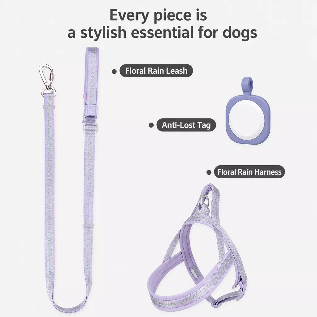 Nylon Dog Harness with Collar and Leash Set Options