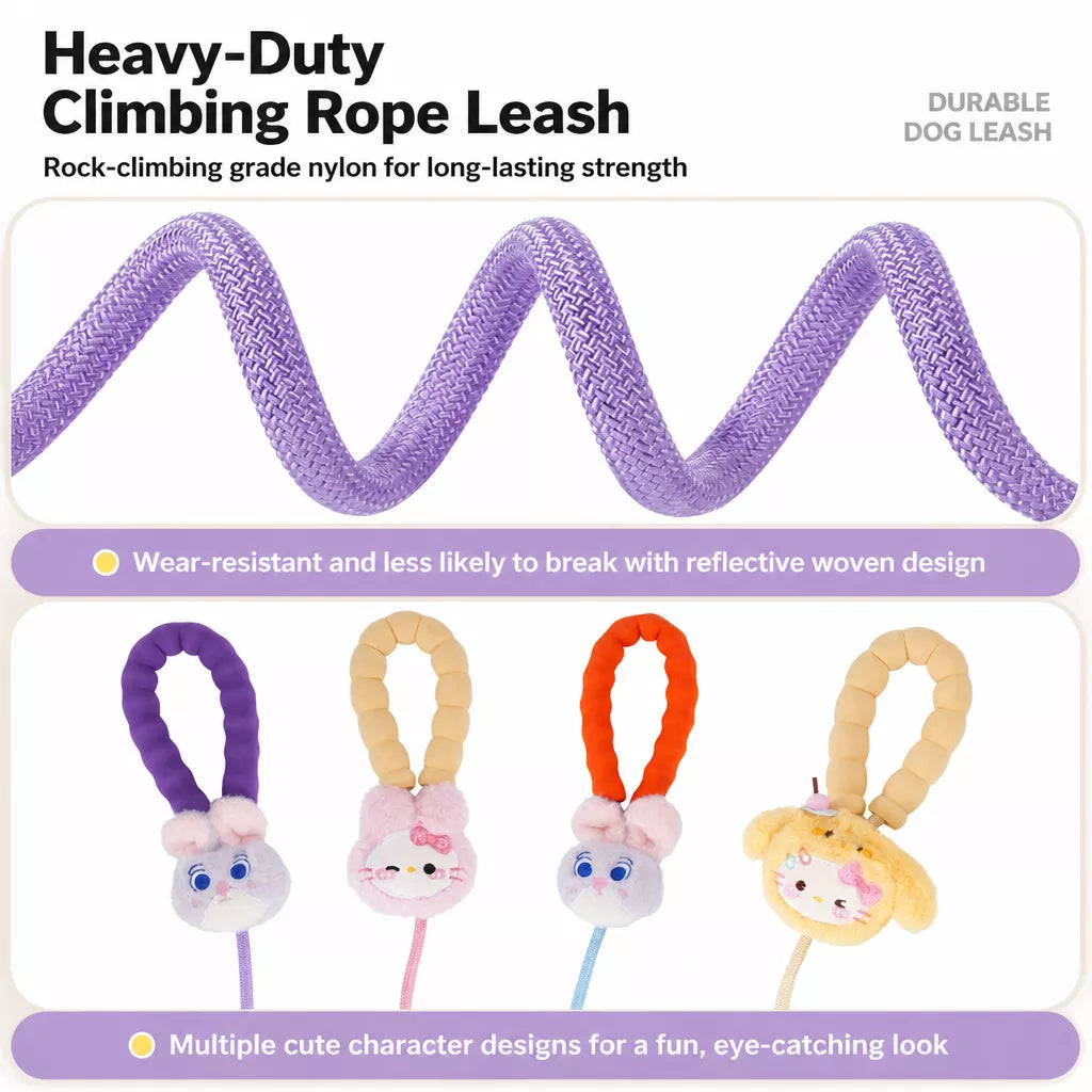 Nylon Slip Lead Dog Leash with Comfort Grip for Training