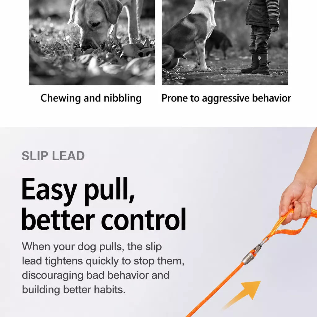 Integrated Slip Lead Dog Leash with Close-Control Handle