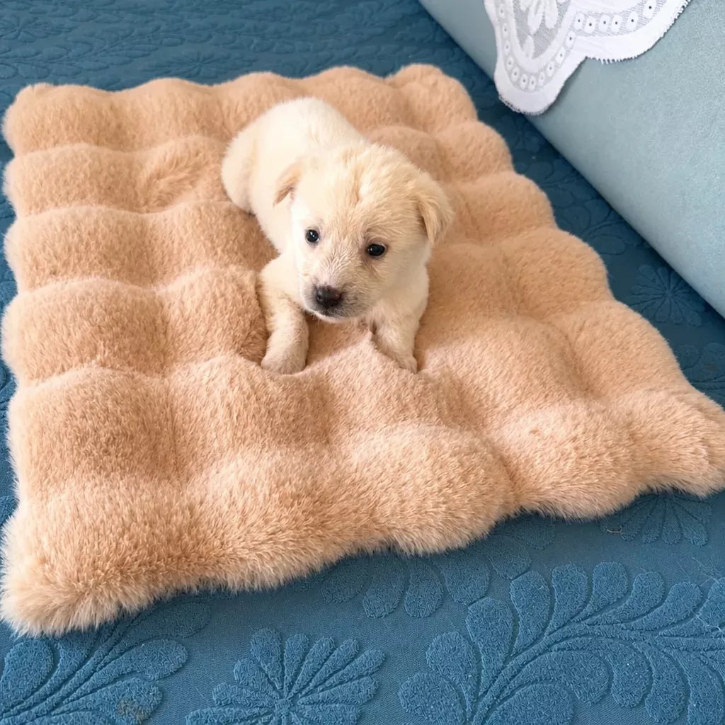 Pet Bed Mat for Cats, Dogs and Rabbits