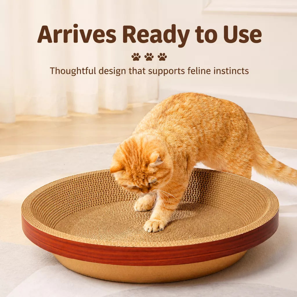 Corrugated Cardboard Cat Scratcher Lounge
