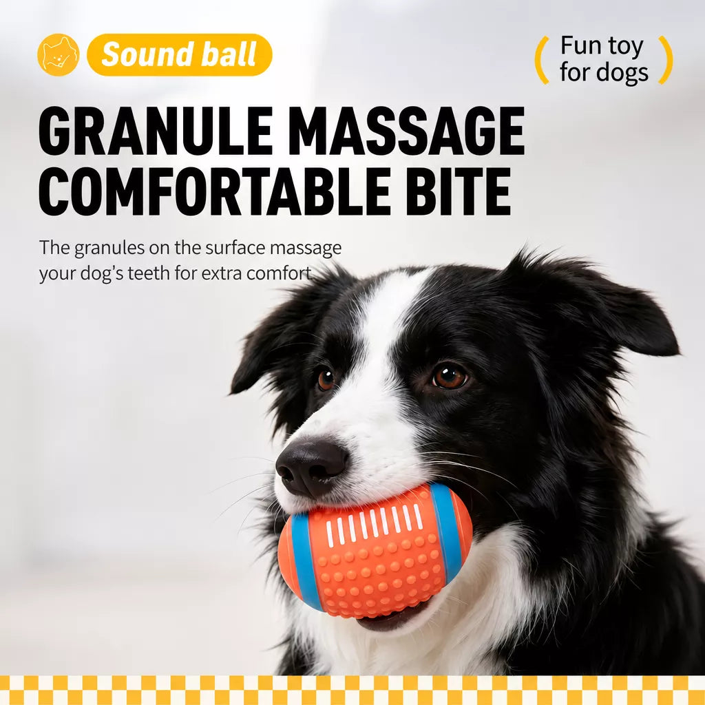 Squeaky Vinyl Sports Ball Toys for Small and Medium Dogs