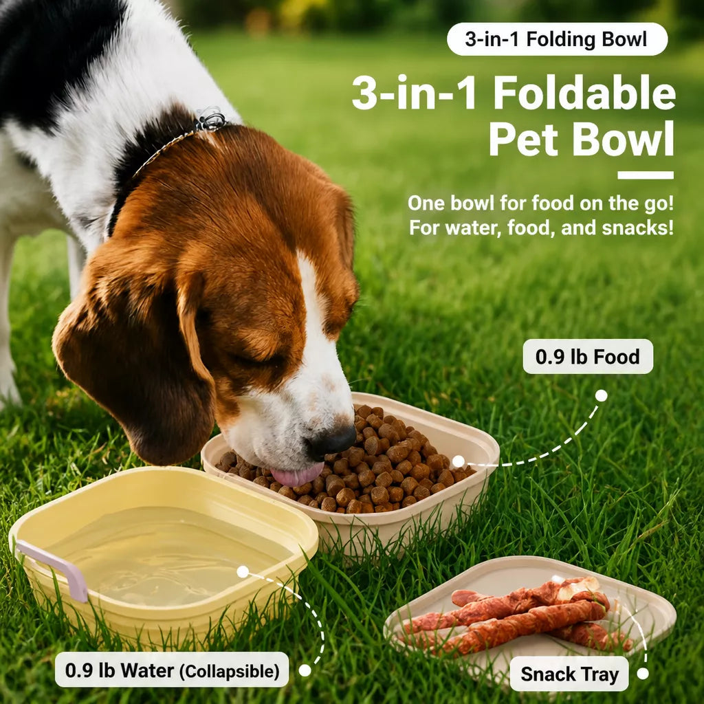 Foldable Double Pet Bowl with Treat Tray, 400 mL Each