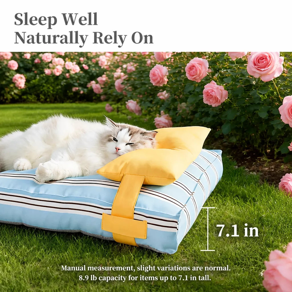 Removable Washable Pet Bed for Cats and Small to Medium Dogs