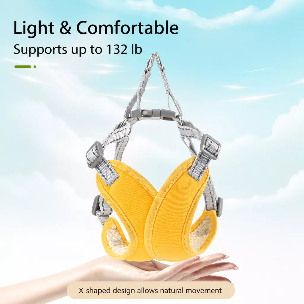 X-Style Pet Harness and Leash
