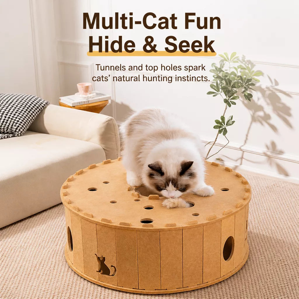 Donut Cat Scratcher Bed with Enclosed Tunnel