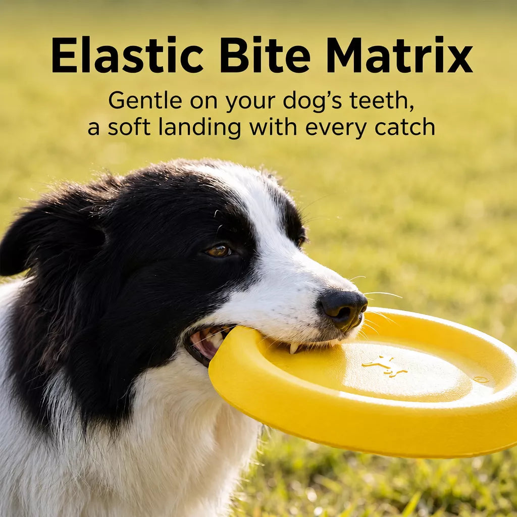 Floating Dog Frisbee Toy for Interactive Outdoor Play