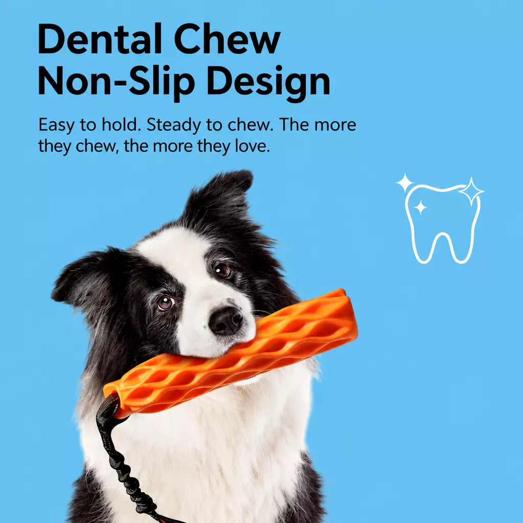 Textured Silicone Squeaky Tug Toy for Dogs