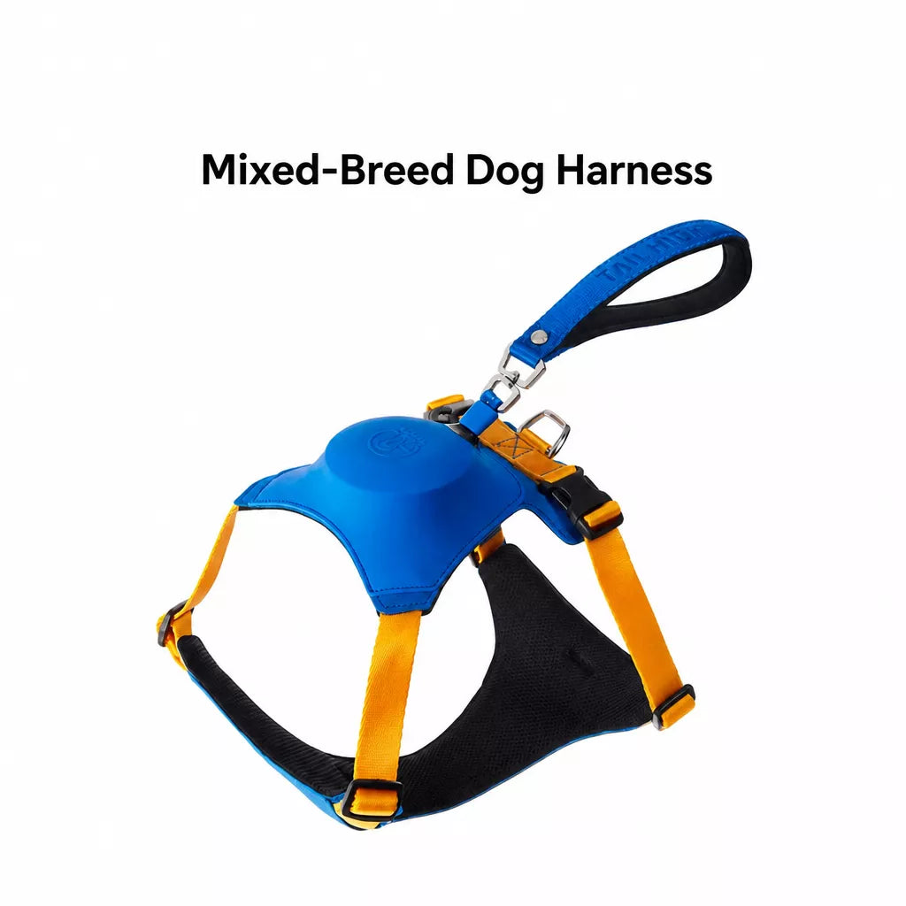 Nylon Dog Harness and Leash Set