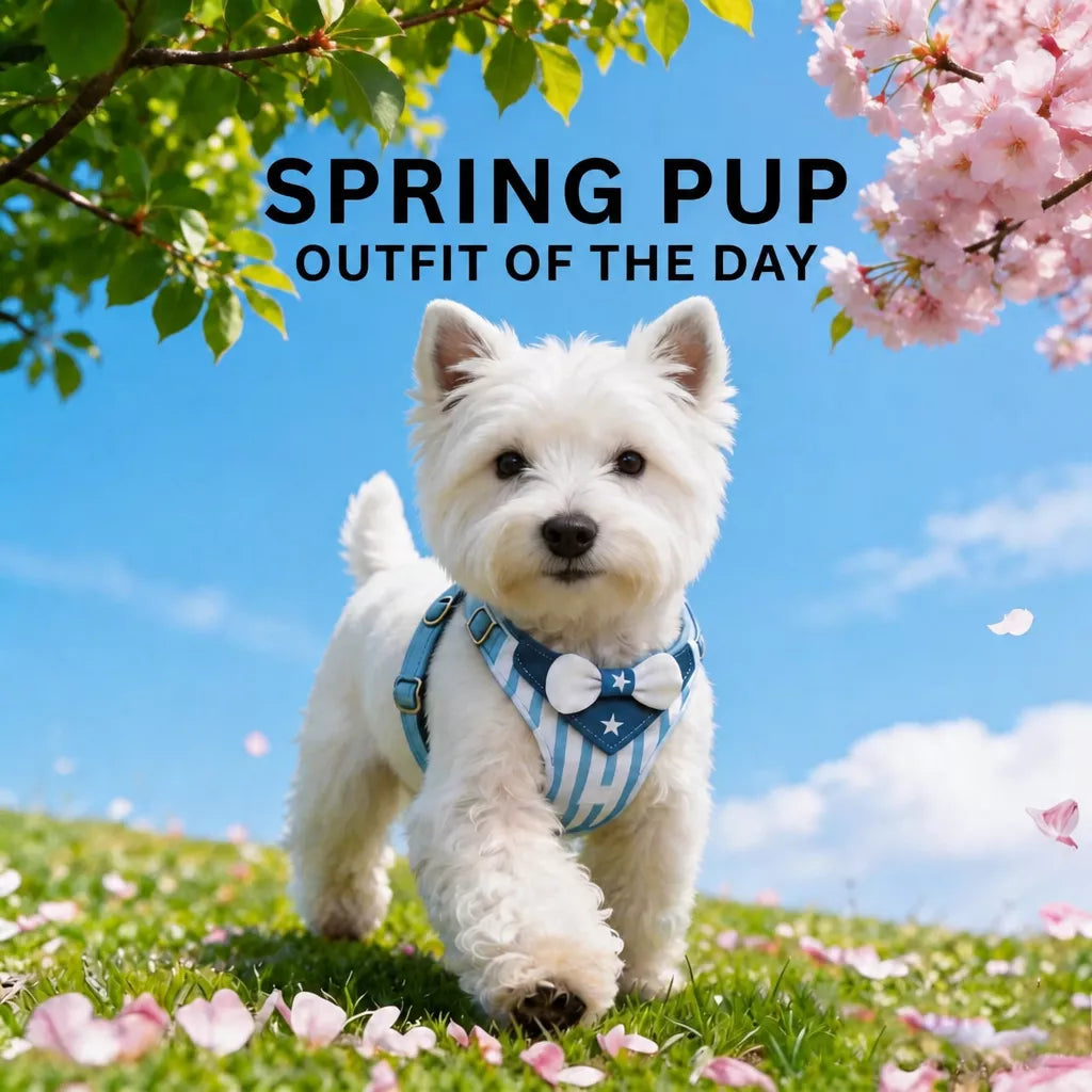 Nylon Harness for Small Dogs