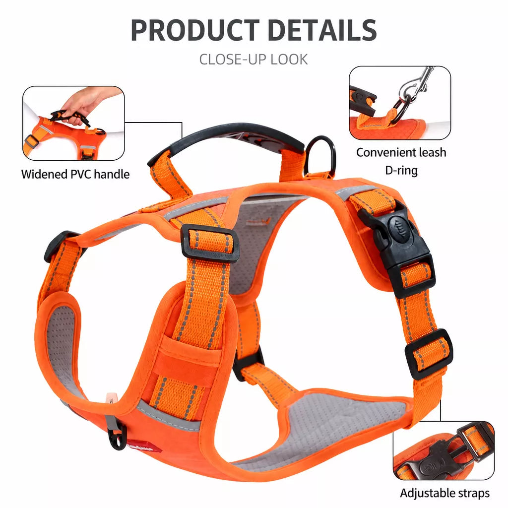 Dog Vest Harness and Leash for Everyday Walks