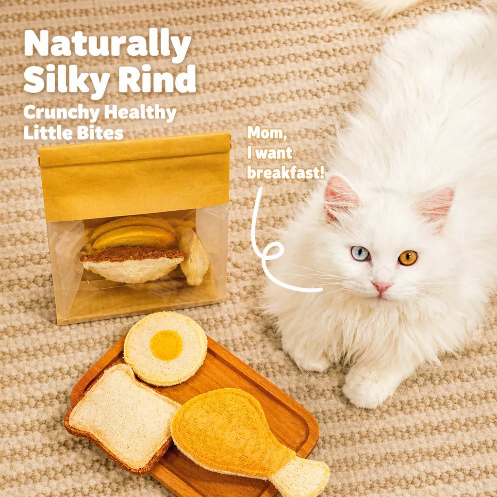 Natural Loofah Cat Toy with Catnip